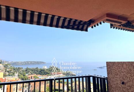PARC SAINT ROMAN - 2 ROOM APARTMENT LUXURIOUSLY RENOVATED