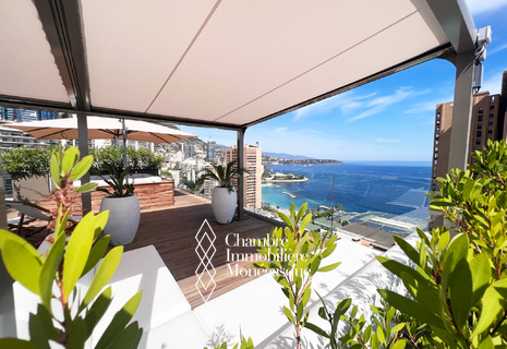 SUPERBE PENTHOUSE EN PLEIN CENTRE, VUE PANORAMIQUE