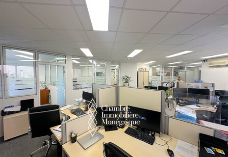Monte-Carlo Sun | Modern Offices