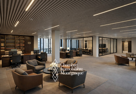 Very large office available for rent in the Fontvieille district