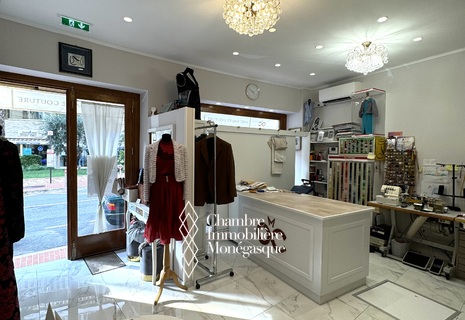 VERY CENTRAL COMMERCIAL PREMISES