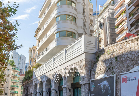 Pavillon Maurice - Triplex roof
