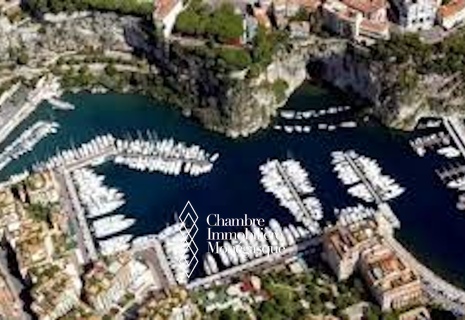 Bright commercial premises with a view of the Port of Fontvieille