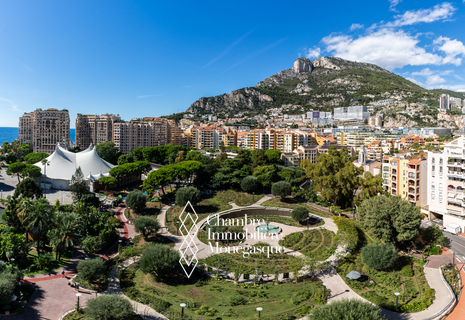 Charmant 2 pièces entièrement rénové avec place de parking.