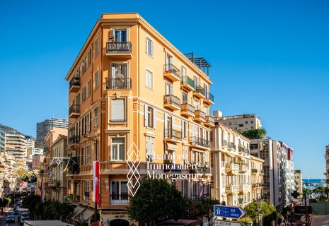 Villa Olghetta - Mixed Use Loft
