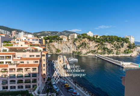 Le Grand Large - 2 bedroom to be renovated - View on port and the palace