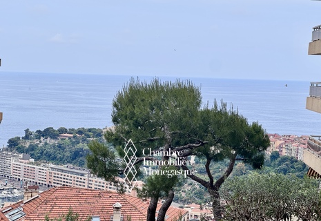 JARDIN EXOTIQUE  | LES LIGURES | 3 PIÈCES