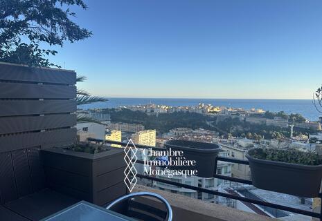 PENTHOUSE WITH SEA VIEW AND VIEW ON THE ROCK