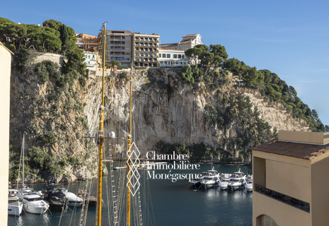 Studio lumineux et moderne avec vues imprenables sur la mer au port de Fontvieille.