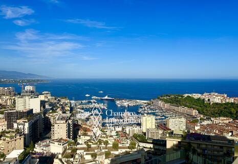 Penthouse with a rooftop terrace and panoramic seaview