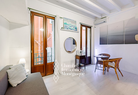 STUDIO - IDEAL PIED A TERRE