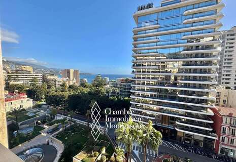 Le Park Palace - 3 pièces - Carré d'Or