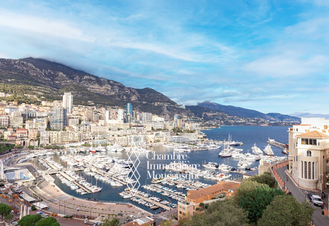 MAGNIFIQUE VILLA SUR LE ROCHER DE MONACO
