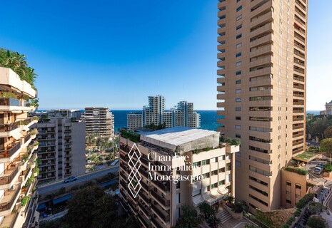 LUXURY CENTRAL 4-BEDROOM APARTMENT - LE PRINCE DE GALLES