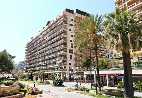 Beautiful apartment with sea view
