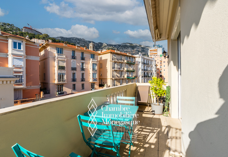 Bel appartement 2P à la location entièrement rénové - Boulevard des Moulins