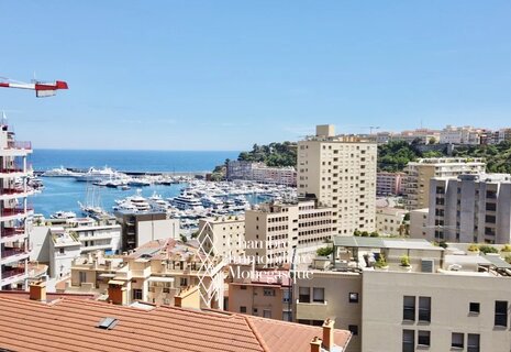 2/3-room apartment in La Condamine