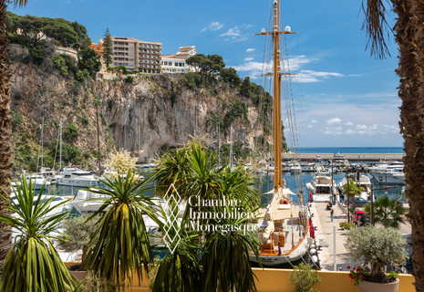 Magnifique appartement rénové et meublé avec goût à Fontvieille