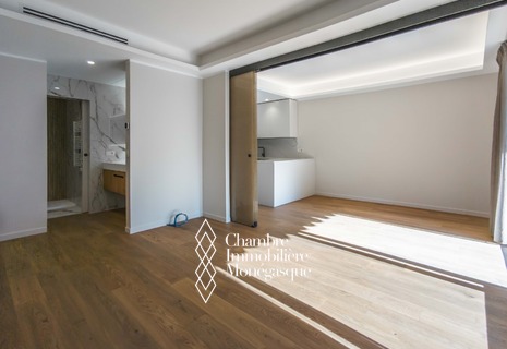 NEAR CASINO / LES OLIVIERS / 2 ROOMS WITH SIDE SEA VIEW