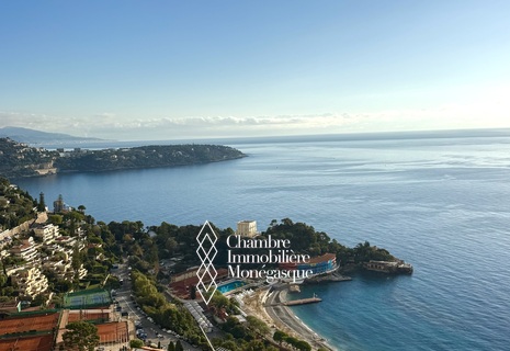 Penthouse en Duplex d’Exception - Parc Saint Roman