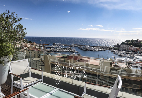 MAGNIFICENT TRIPLEX PENTHOUSE WITH PANORAMIC HARBOUR VIEW