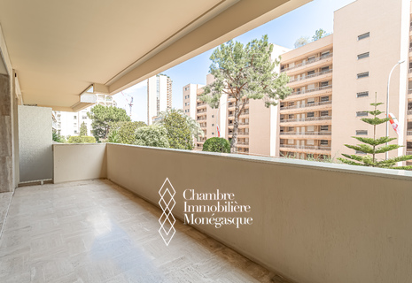 Renovated 2-room apartment at Château Amiral