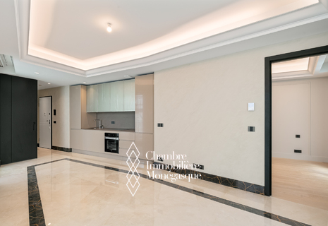 Vente Appartement 2 pièces Monaco nouvelle Résidence
