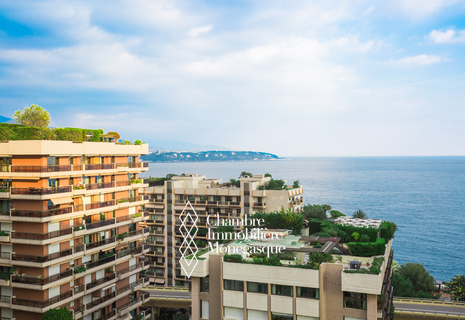 Villa Riviera - Très bel appartement de maître