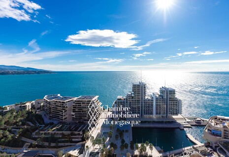 EXCEPTIONAL PENTHOUSE – LE MIRABEAU