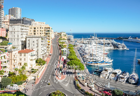 PORTO DI MONACO - PANORAMA - 4 CAMERE CON VISTA MARE E F1