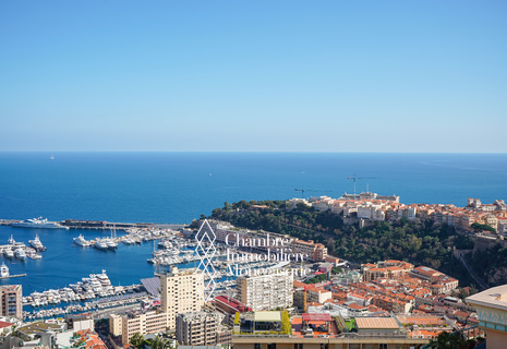 JARDIN EXOTIQUE - 3 PIÈCES - ROOFTOP AVEC PISCINE