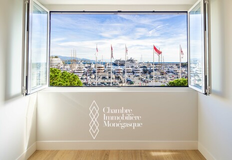 Palais Heracles: Fully Refurbished 1 Bedroom Apartment with Harbour View
