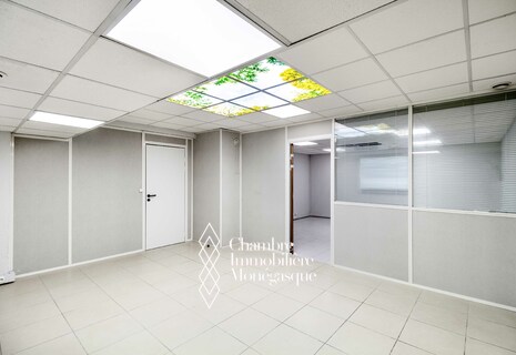 Les Ligures - Grands Bureaux dans une Résidence avec Piscine