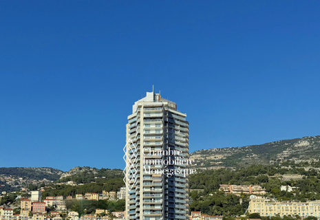 VIVRE AU SOMMET DU MONDE ! APPARTEMENT CARRÉ D’OR