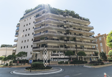 RARE APPARTEMENT FAMILIAL DANS UN IMMEUBLE DE STANDING