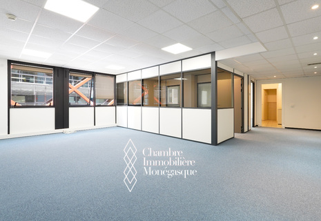 FONTVIEILLE – LARGE TURNKEY OFFICES