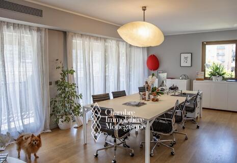 Lumineux Appartement/Bureau 3 pièces - Le Mirabel