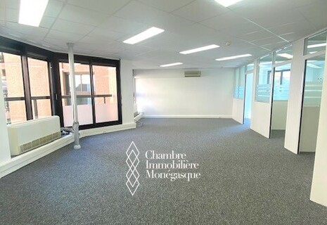SPACIOUS OFFICES IN MONTE CARLO SUN