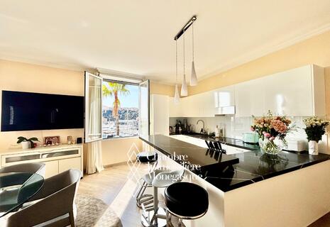 Grand appartement avec vue exceptionnelle sur les yachts de Monaco
