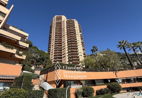 STUDIO ETAGE ELEVE - PARC SAINT ROMAN