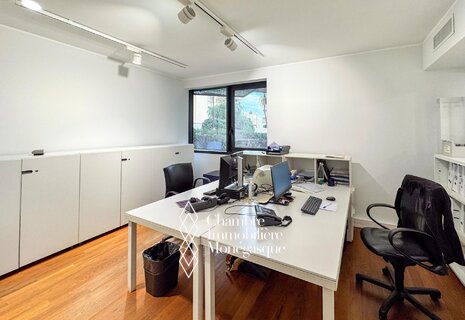 Superbe Mixed Use Apartment - monte-Carlo