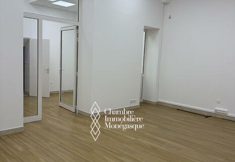 Commercial Premises for Rent – Rue Plati