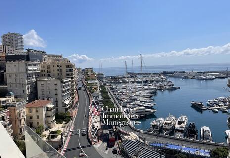 NEW OFFICE SPACE FOR RENT PORT HERCULE