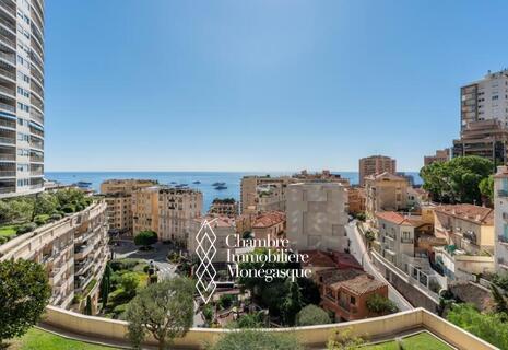 Bilocale in affitto - Annonciade - Vista mare
