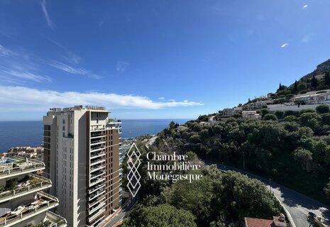 Appartement 2 pièces rénové avec vue imprenable