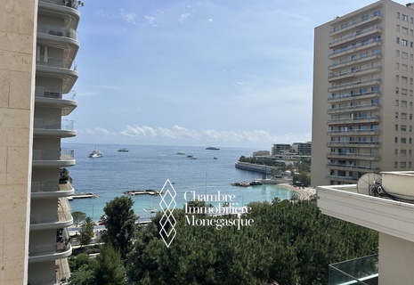 1 Bedroom Apartment For Rent - Le Vallespir - Larvotto