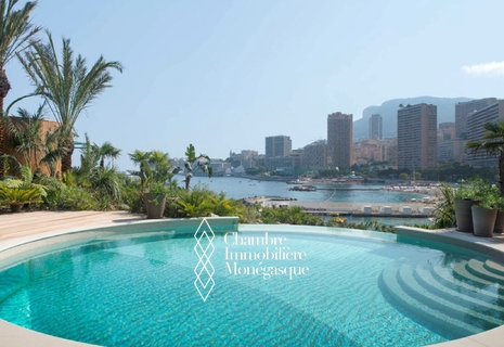 Villa La Cascade - Magnificent waterfront villa - Larvotto
