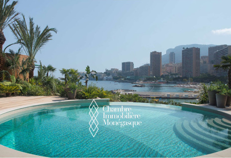 Rare villa with private pool and high end services