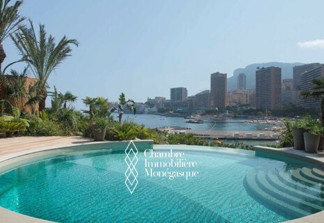 Unique – Villa Pieds dans l’eau – La Cascade – Monaco