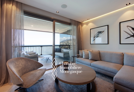 MIRABEAU - EXCEPTIONNEL APARTEMENT - ETAGE ELEVE